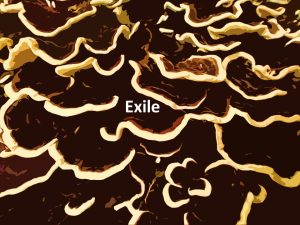 Exile