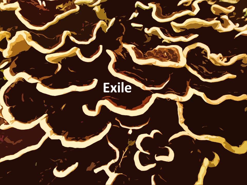 Exile