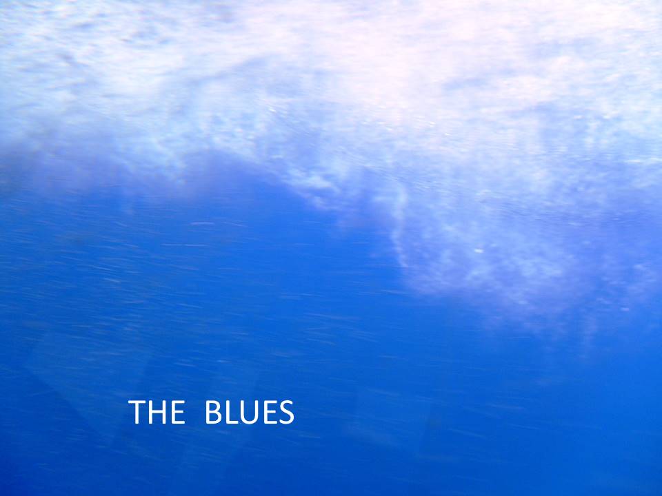 THE BLUES