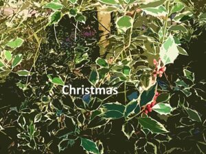 Christmas