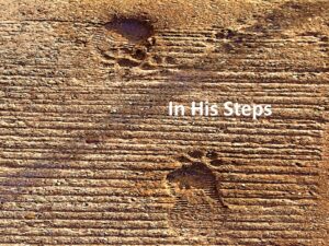 In His Steps