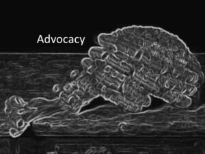 Advocacy
