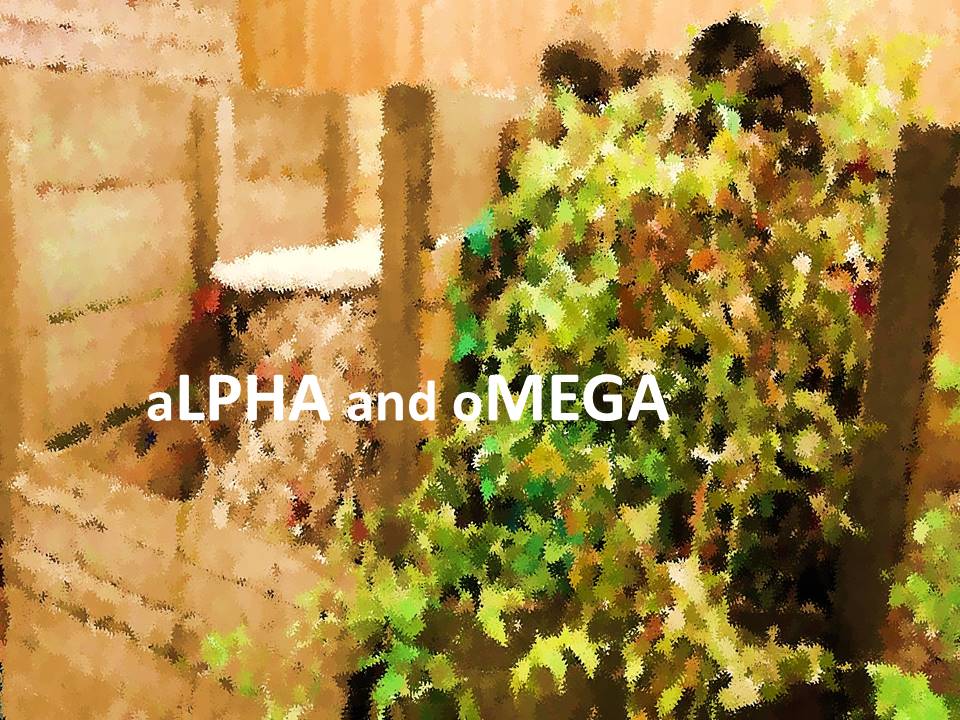 aLPHA and oMEGA