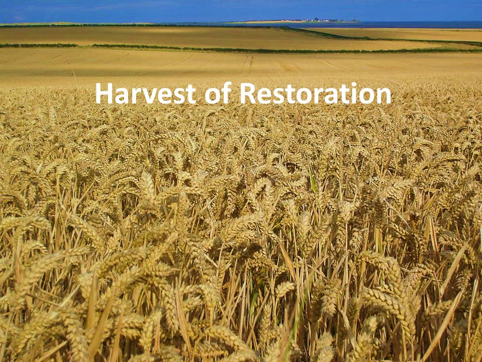 Harvest of Restoration