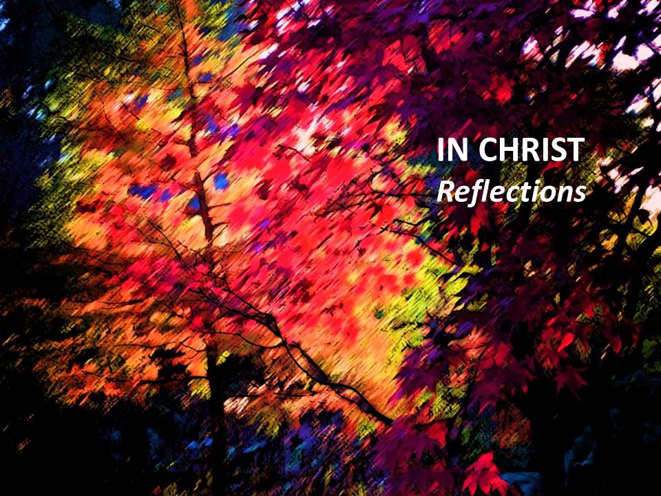 IN CHRIST … Reflections