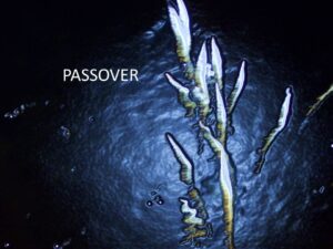 PASSOVER