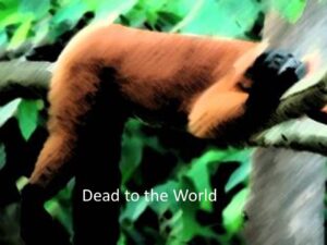 Dead to the World