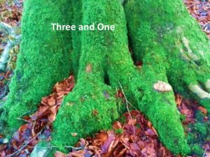 Three and One