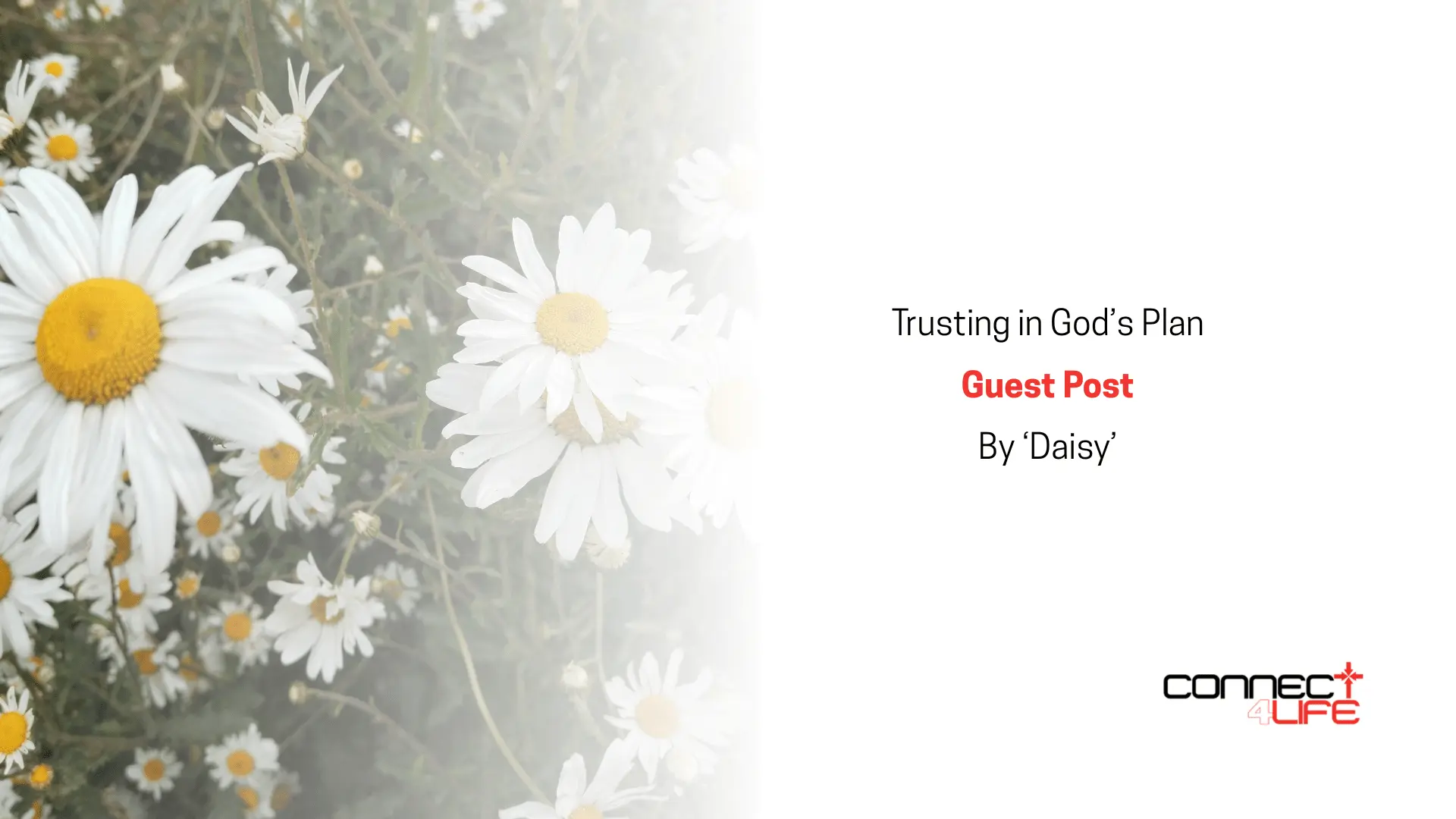 Trusting in God’s Plan