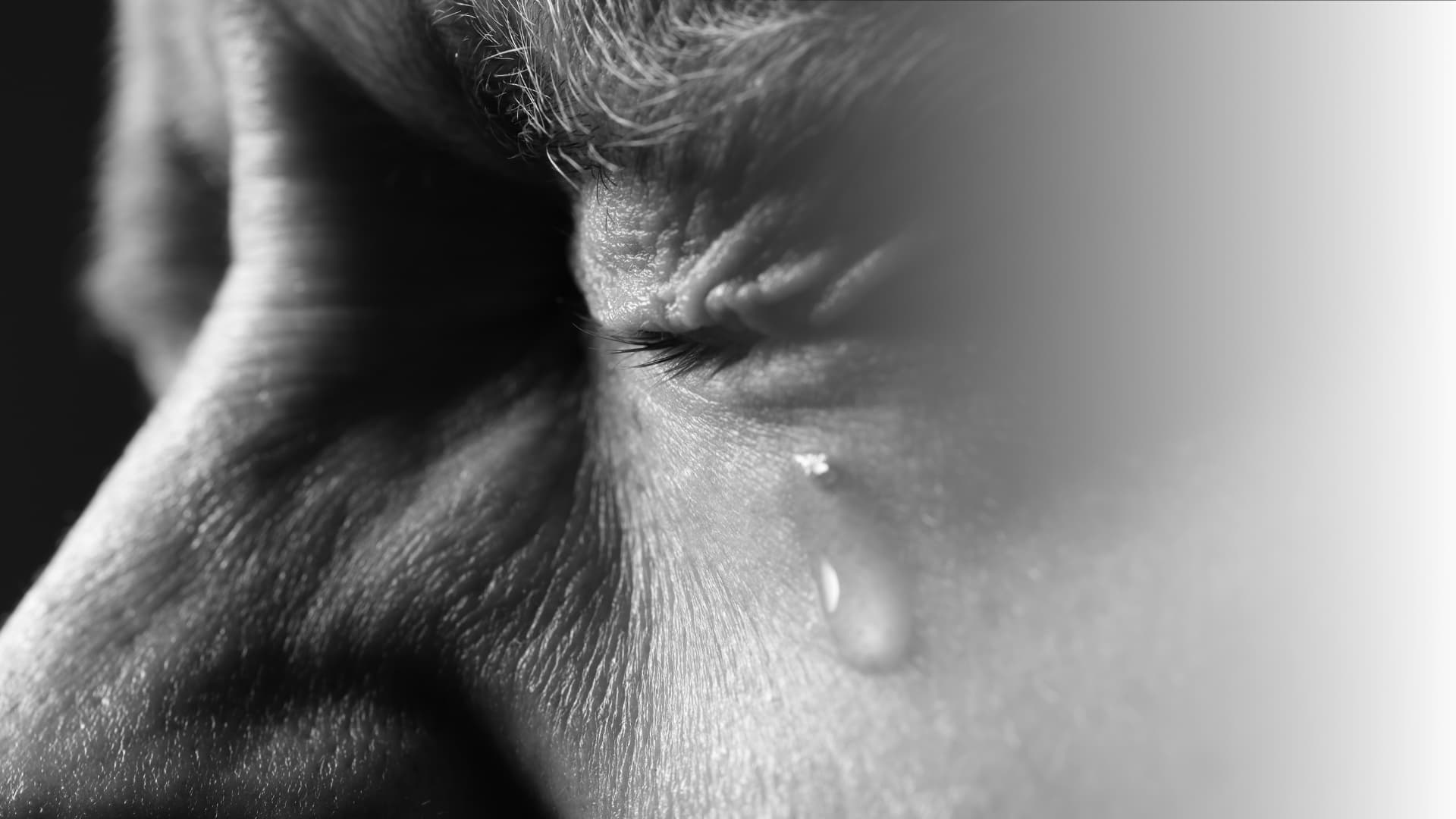 Making Sense of Tragedy: The Nepal Disaster